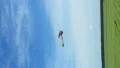 Beautiful vintage plane takeoff and flight, landscape, vertical HD Footage