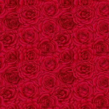 Beautiful vintage seamless pattern with red roses buds. design greeting card  Stock Illustration