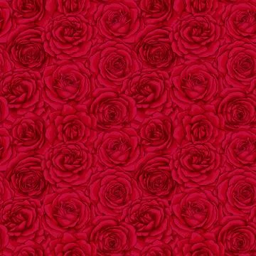 Beautiful vintage seamless pattern with red roses buds. design greeting car.. 스톡 일러스트