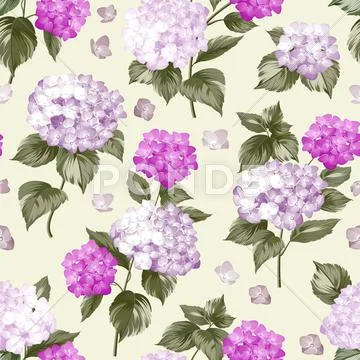 Beautiful Violet Flower Of Hydrangea