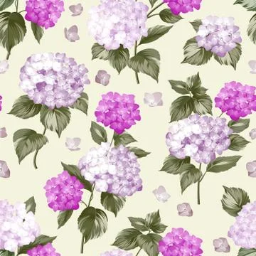 Beautiful violet flower of hydrangea Stock Illustration