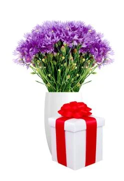 Beautiful violet flowers in vase and gift box isolated on white Stock Photos