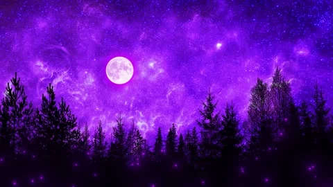 Beautiful Violet Sky Over Forest Stock Footage 305788681