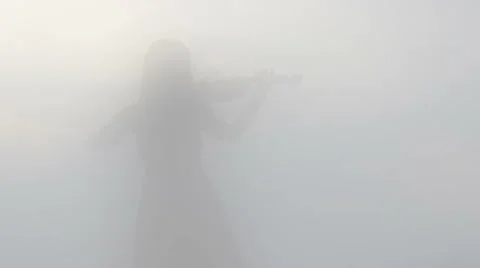 Beautiful Violinist's Shadow Stock Footage 48532145