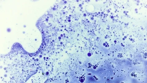Beautiful volumetric blue pattern with black bubbles moving Stock Footage 124435601