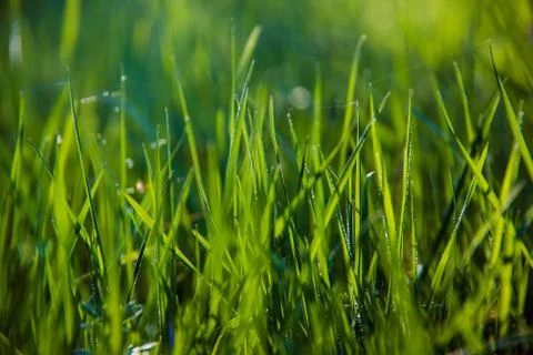 Beautiful waking landscape in the spring Stock Photos