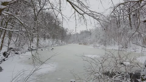 A beautiful walk through the winter forest. Trees, branches and bushes Stockbeeldmateriaal 287624489