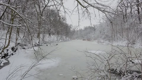 A beautiful walk through the winter forest. Trees, branches and bushes 库存影片 287752572