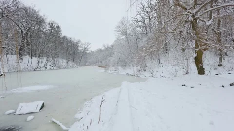 A beautiful walk through the winter forest. Trees, branches and bushes Stockbeeldmateriaal 288027357