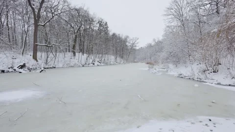 A beautiful walk through the winter forest. Trees, branches and bushes Stock Footage 288085845