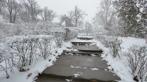 A beautiful walk through the winter forest. Trees, branches and bushes 스톡 동영상 289100516