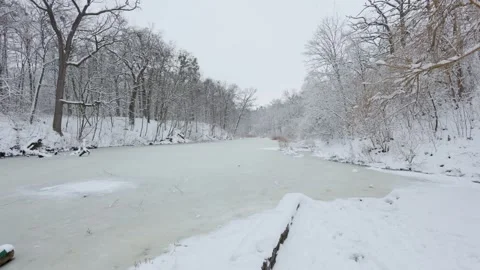 A beautiful walk through the winter forest. Trees, branches and bushes Video stock 289535893