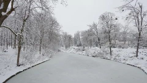A beautiful walk through the winter forest. Trees, branches and bushes Stock Footage 290319182