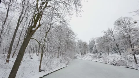 A beautiful walk through the winter forest. Trees, branches and bushes Видео 291533474