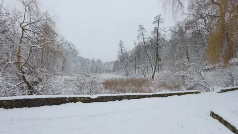 A beautiful walk through the winter forest. Trees, branches and bushes Stock-Footage 293490803