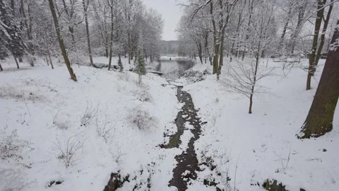 A beautiful walk through the winter forest. Trees, branches and bushes 스톡 동영상 293491026