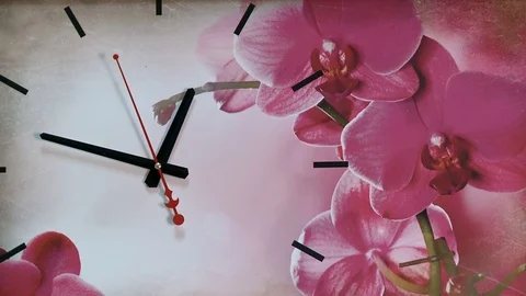 Beautiful wall clock Stock Footage 69740786