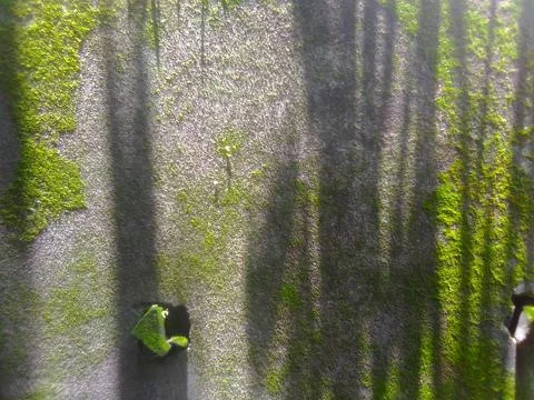 A Beautiful Wall Stock Photos