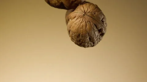 Beautiful walnuts falling in slow motion Stock Footage 150979596