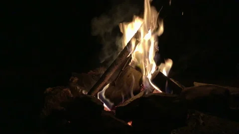 Beautiful warm burning bonfire in the dark autumn forest. Stock Footage 141469435