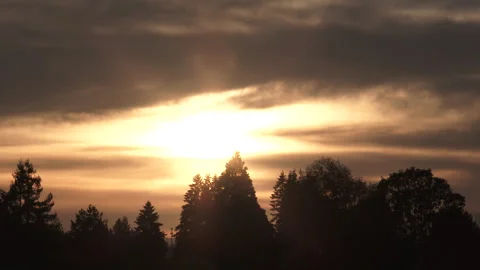 Beautiful Warm Sky Sunset Time Lapse Behind Silhouetted Trees Stock Footage 289164274