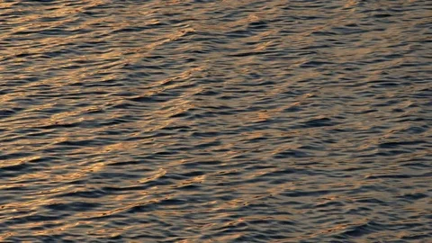 Beautiful warm sunset reflections on water surface 스톡 동영상 76636861