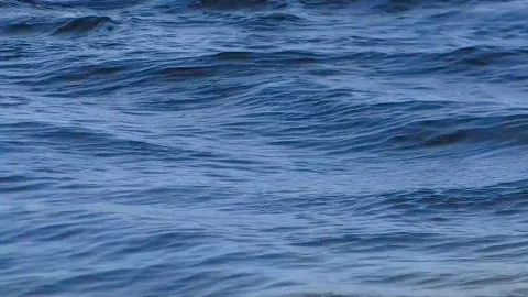 Beautiful water background. Stock Footage 310053085