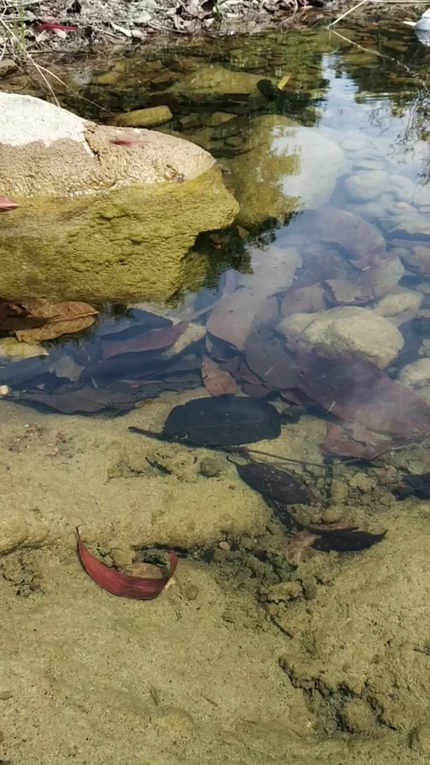 Beautiful water between rocks Video stock 127476264