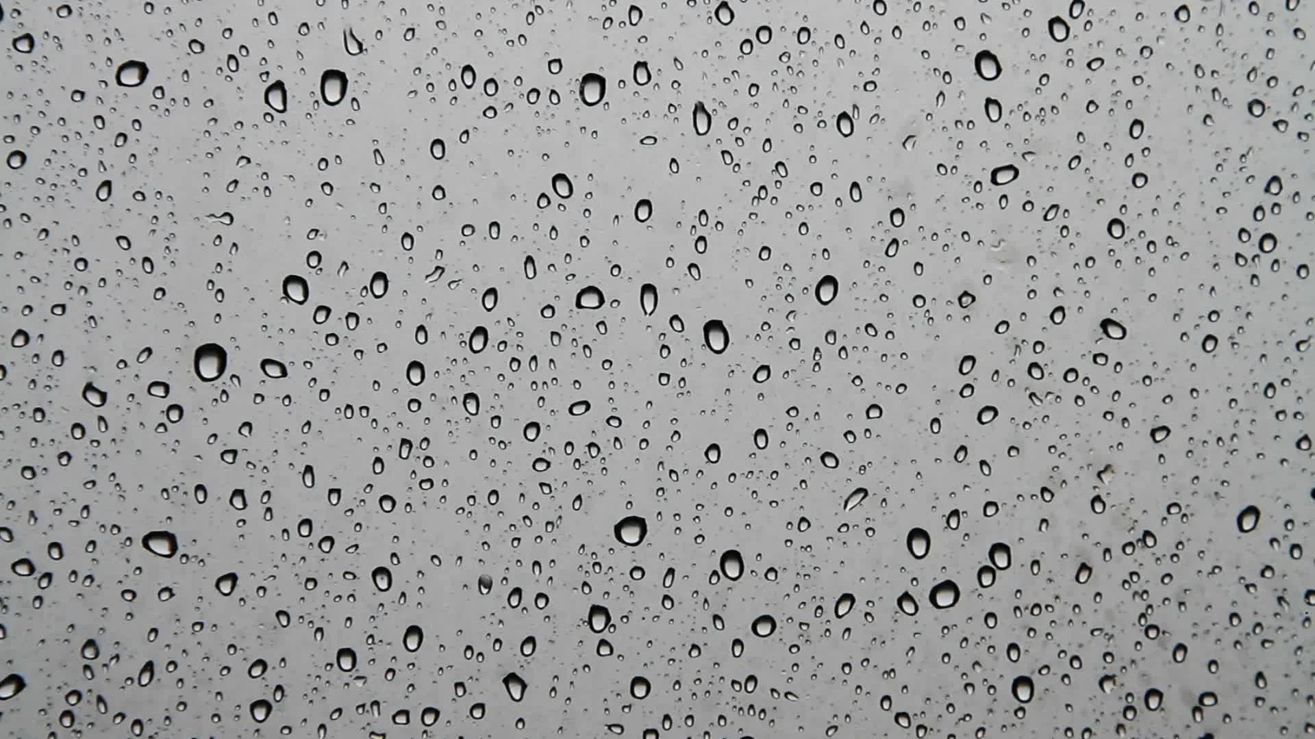 Beautiful water drops on window glass ~ Hi Res #11478091