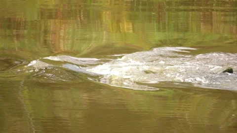 Beautiful water flow through stony thresholds. Stock Footage 172576963