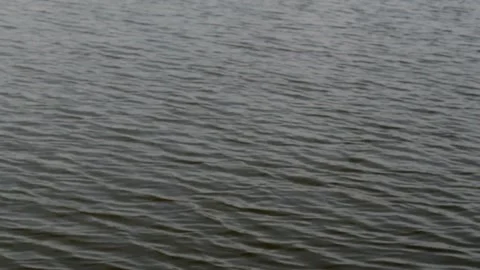 Beautiful water movement Stock-Footage 229604001