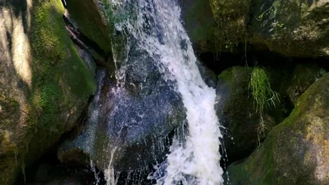 Beautiful water stream in forest Stock Footage 135656391