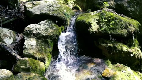 Beautiful water stream in forest Stock Footage 135660183