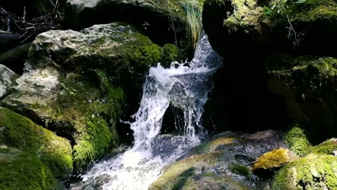 Beautiful water stream in forest Stock Footage 135660238