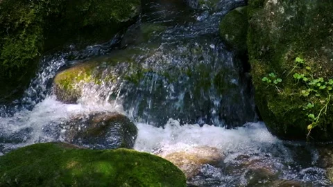 Beautiful water stream in forest Stock Footage 135660247