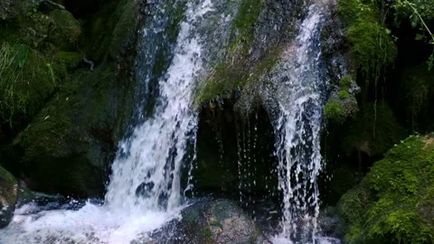 Beautiful water stream in forest Video stock 135660256