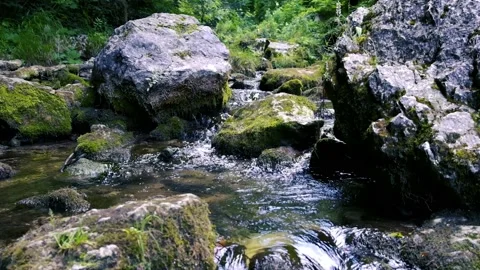 Beautiful water stream in forest Stock Footage 135660471
