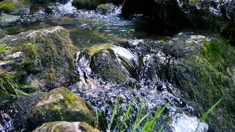 Beautiful water stream in forest Stock Footage 135665740