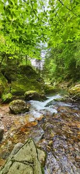 Beautiful water stream running through rocks Stock Photos