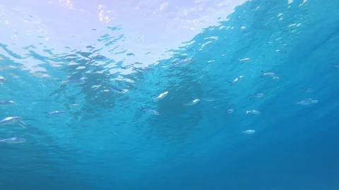 Beautiful water surface. Abstract background 動画素材 128554007