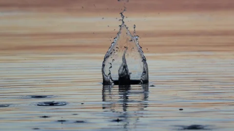 Beautiful water surface at sunset time. Stock Footage 104788064