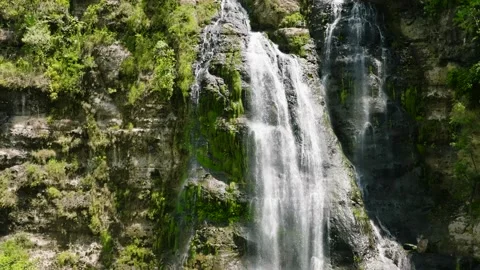 A beautiful waterfall among the rainforest. Stock Footage 235752082