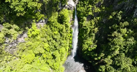 A beautiful waterfall among the rainforest. Stock Footage 251418429