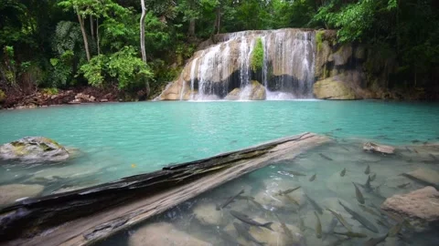 Beautiful waterfall and emerald pool in tropical rain forest in Thailand. Vídeos de archivo 137093400
