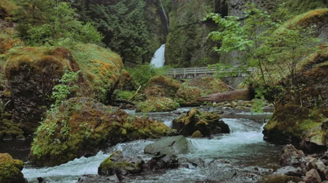 Beautiful waterfall and river flowing in oregon Stock Footage 44324155