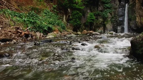 Beautiful waterfall in the Azores Stock Footage 66295810