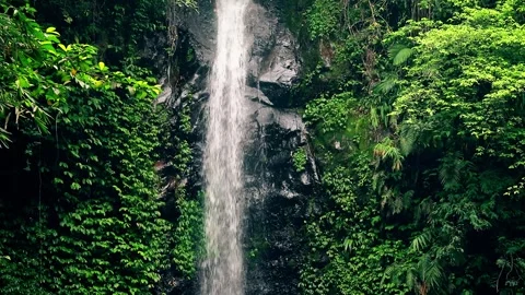Beautiful waterfall background in nature Stock-Footage 259738582