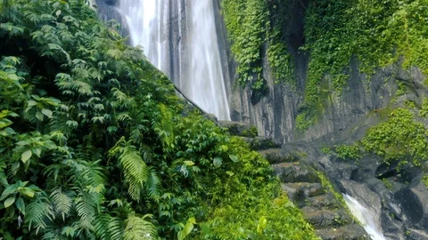 Beautiful waterfall in Bali Stock Footage 96332978