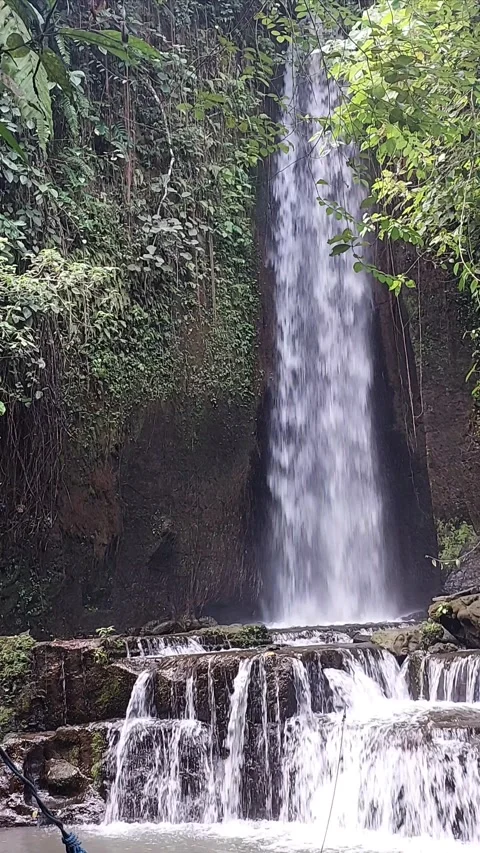 A beautiful waterfall in Bali. Stock Footage 311021028