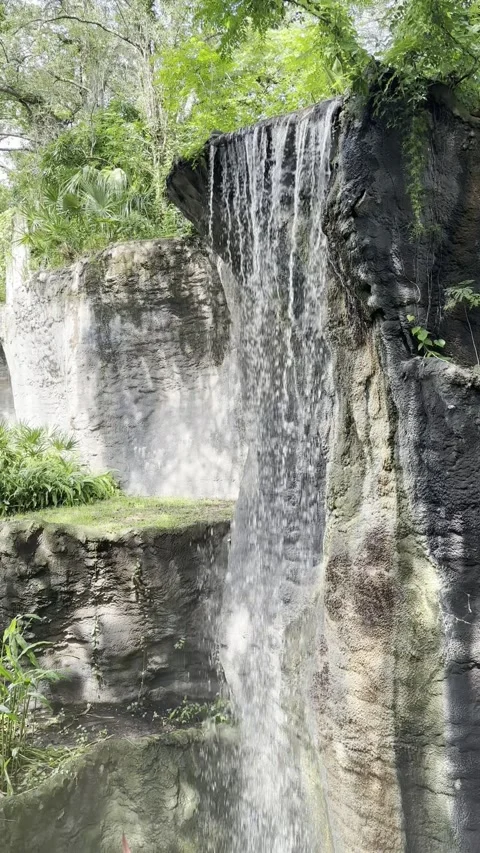 Beautiful waterfall between rocks covered by moss. Stock Footage 292341771